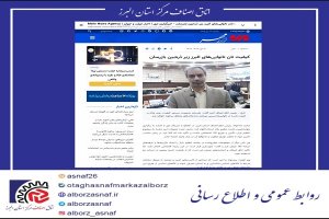 کیفیت نان نانوایی‌های البرز زیر ذره‌بین بازرسان